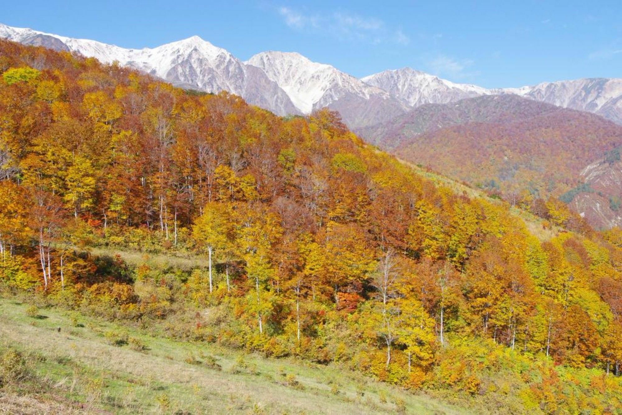 Hakuba Ski-Kan ภายนอก รูปภาพ